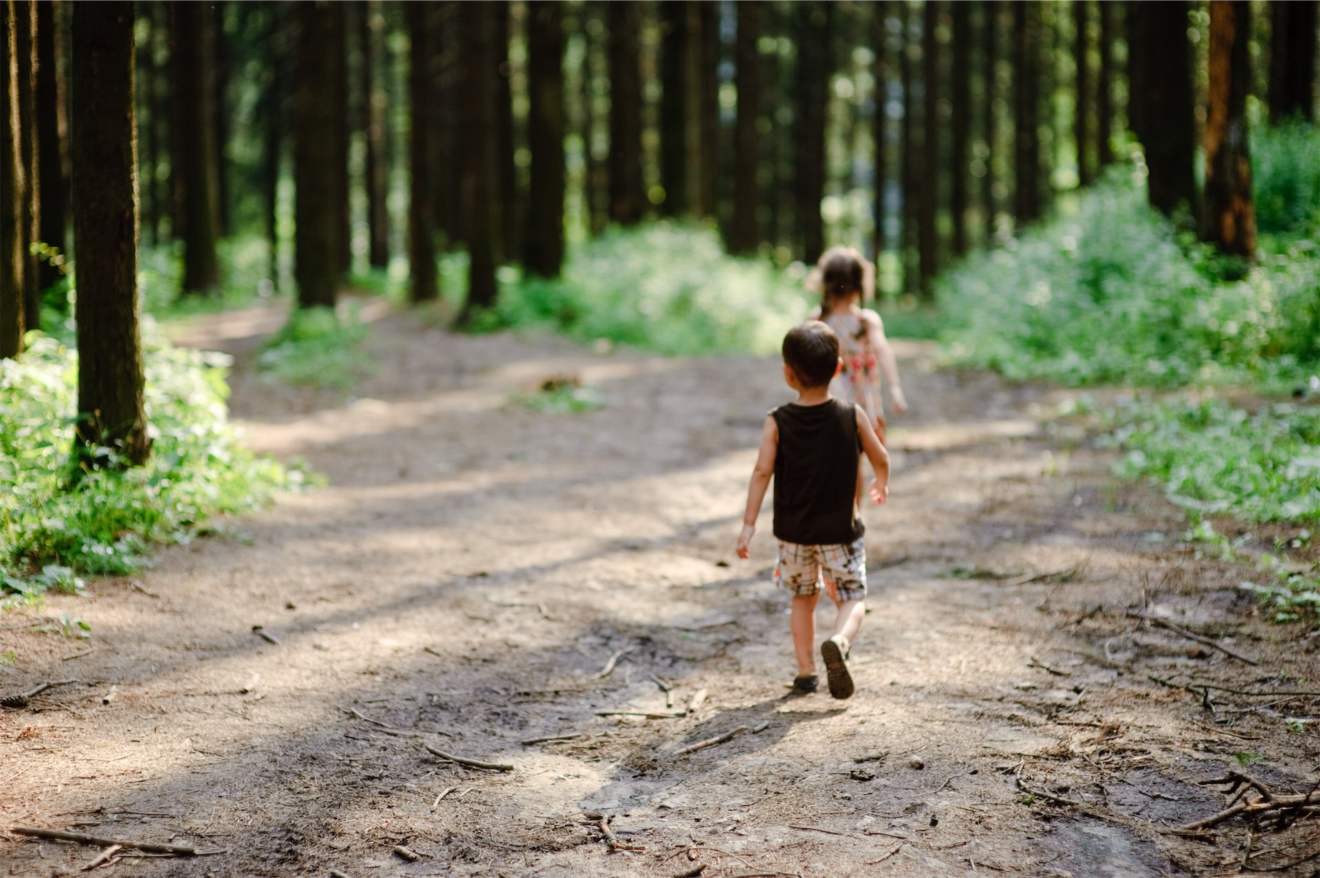 Walking in the forest